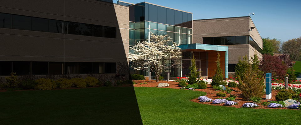 Woodhaven Landscapers