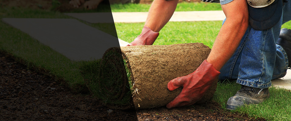 Woodhaven Landscapers